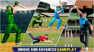 Indian Cricket Championship Скриншот 0