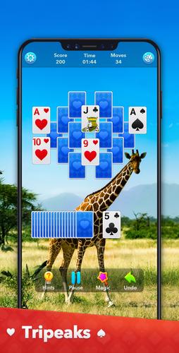 Solitaire Collection ภาพหน้าจอ 2