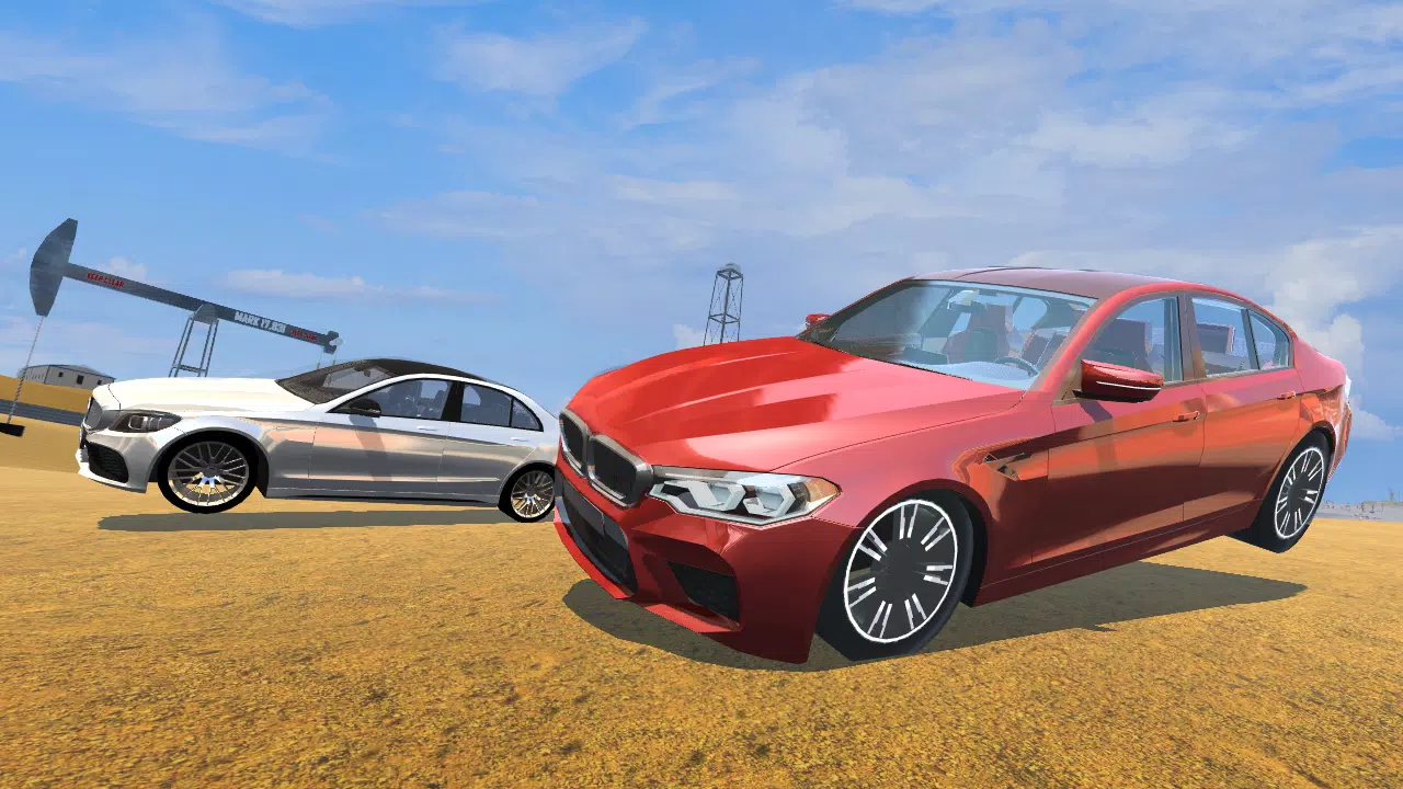 CarSim M5&C63 스크린샷 3