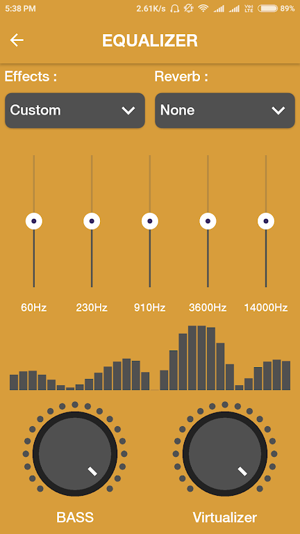 Roar Music Player ภาพหน้าจอ 1