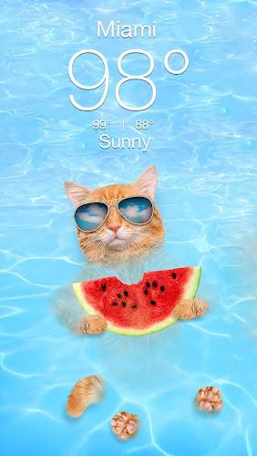 Weather Kitty - App & Widget Captura de tela 1