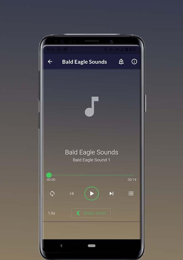 Bald Eagle Sounds Schermafbeelding 1