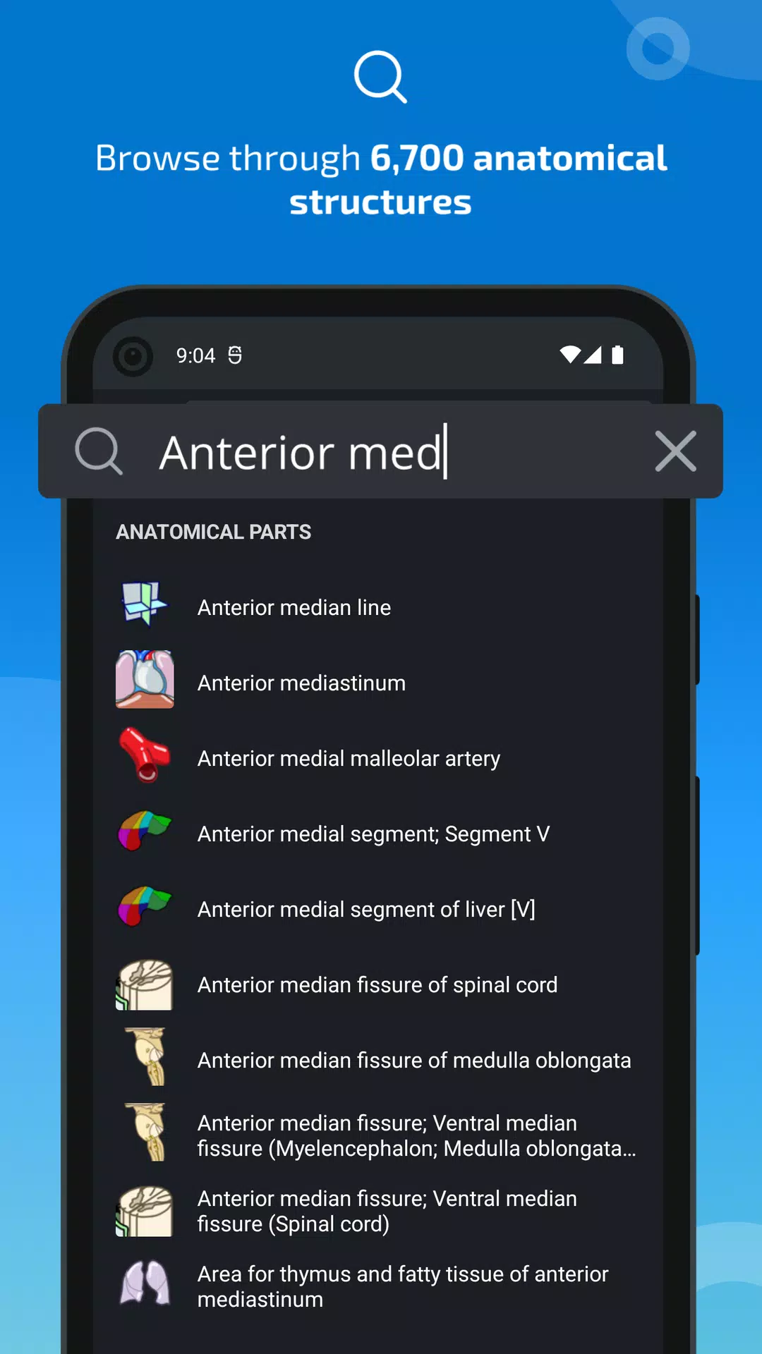 e-Anatomy ภาพหน้าจอ 2