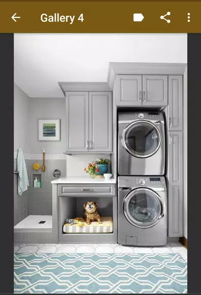 Laundry Room Organization Screenshot 2