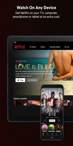 Netflix Premium Unlocked Zrzut ekranu 1