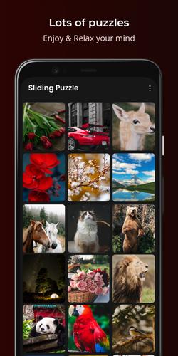 Sliding Puzzle স্ক্রিনশট 1