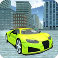 City Car Driving Simulator