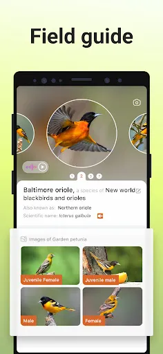 Picture Bird Screenshot 1