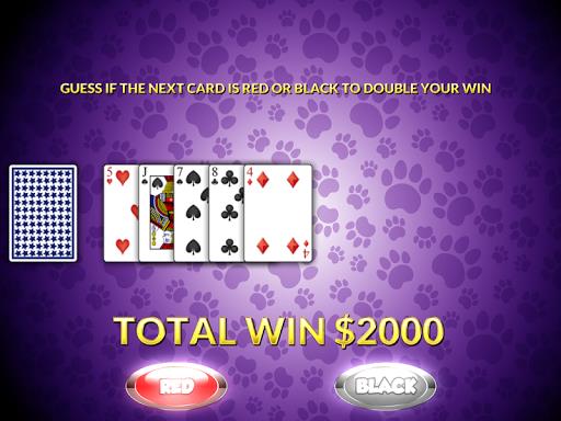 Casino Cash Cats Kitty Slots Screenshot 0