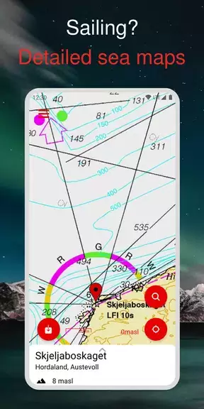 Carte de la Norvège Capture d'écran 1