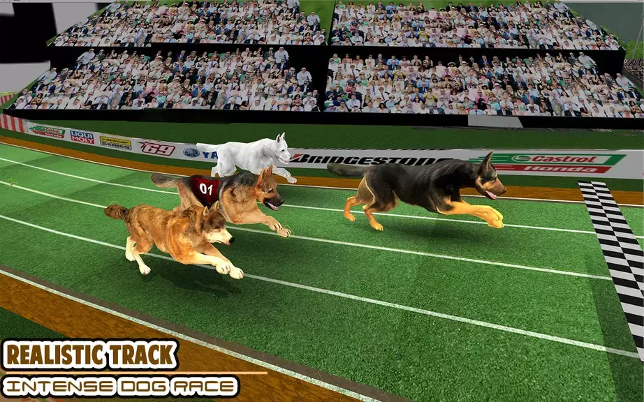 Schermata Dog racing games - dog game 3d 0