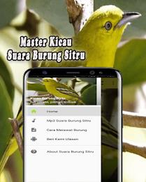 Suara Burung Sirtu Pikat MP3 Offline Скриншот 0