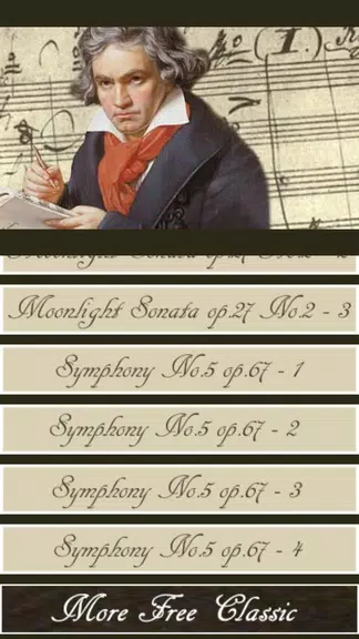 Beethoven Symphony ဖန်သားပြင်ဓာတ်ပုံ 2