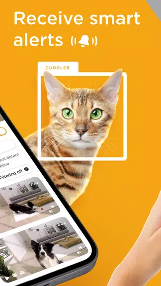 Petcube應用截圖第1張