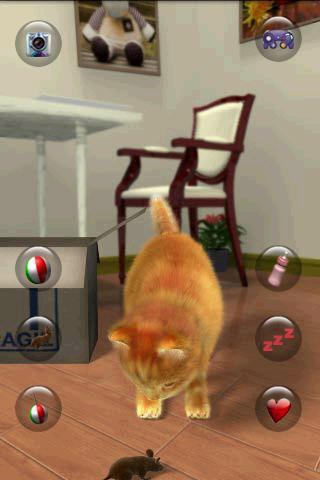 Talking Lovely Cat ภาพหน้าจอ 2