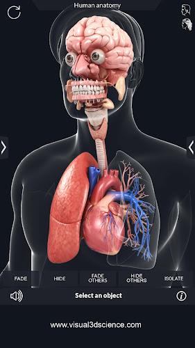 My Organs Anatomy ဖန်သားပြင်ဓာတ်ပုံ 3