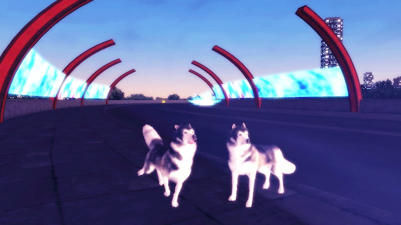 Husky Simulator ภาพหน้าจอ 1