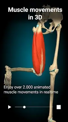 Anatomy Learning - 3D Anatomy Captura de tela 1