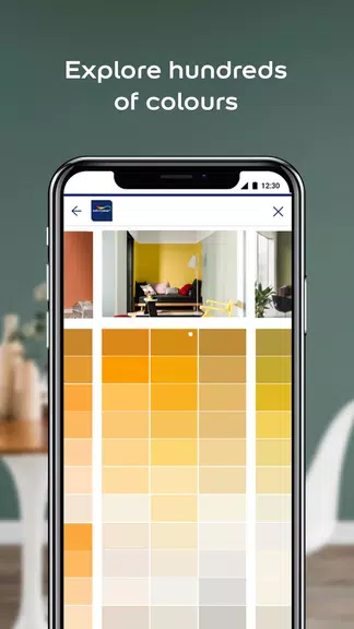 Dulux Visualizer ZA应用截图第1张