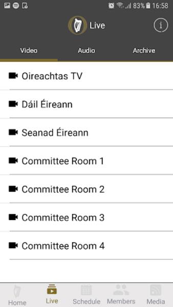 Oireachtas Screenshot 3