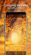 Schermata Autumn Wallpapers 4K 3