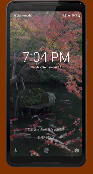 Japanese Koi Pond 4K Video LWP Ảnh chụp màn hình 1