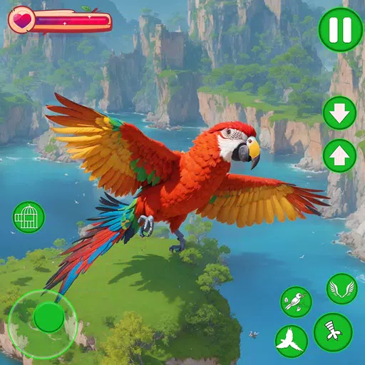 Parrot Bird Simulator Game