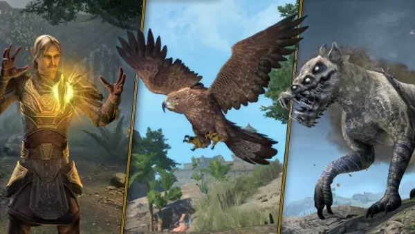 ESO Premium Edition Includes All Previous Content