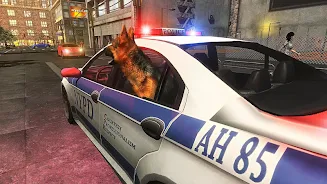 US Police Dog Games应用截图第1张