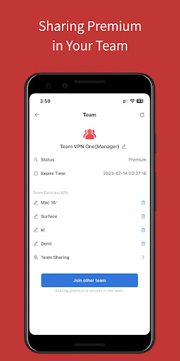 Team VPN ภาพหน้าจอ 2