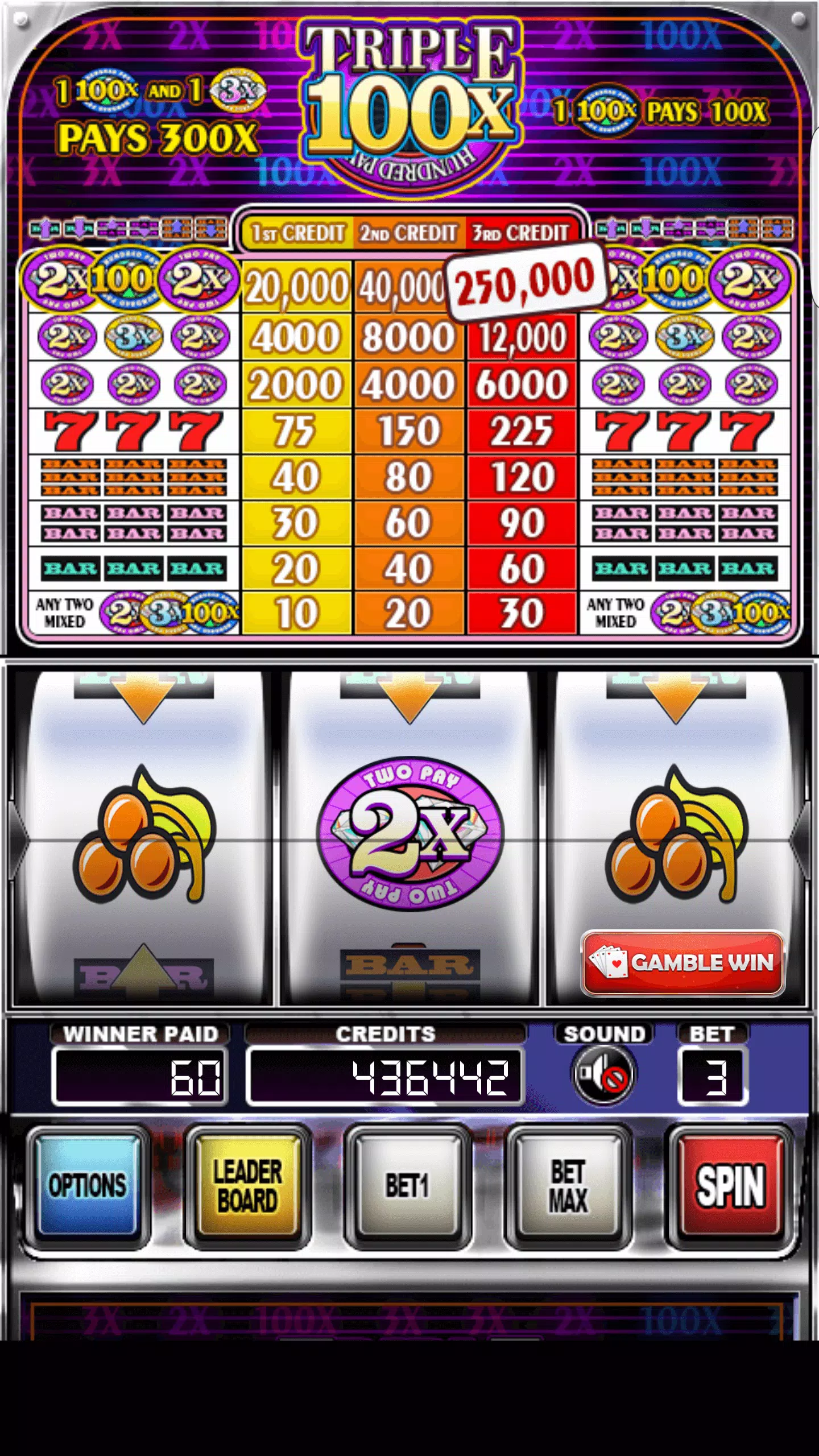 Double Wild Slots Capture d'écran 1