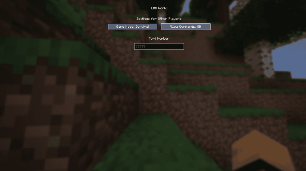 Minecrafr เปิดสู่ LAN Screen Java Edition