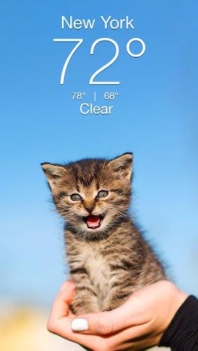 Weather Kitty - App & Widget ဖန်သားပြင်ဓာတ်ပုံ 0