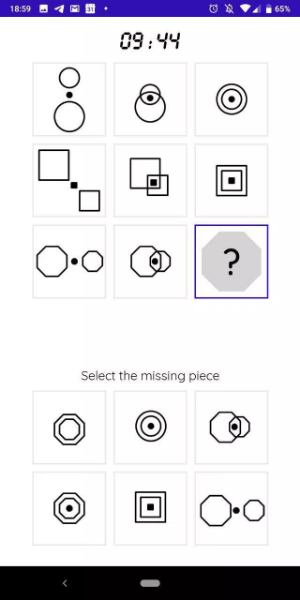 iQT: Raven IQ Test Capture d'écran 1