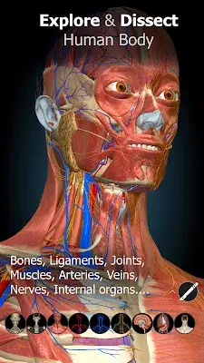 Anatomy Learning - 3D Anatomy स्क्रीनशॉट 0