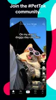 TikTok: Videos, Lives & Musik Captura de pantalla 3