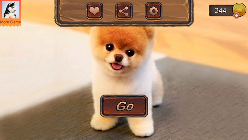 Pomeranian Dog Simulator Schermafbeelding 0