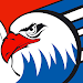 Adler Mannheim Fan App