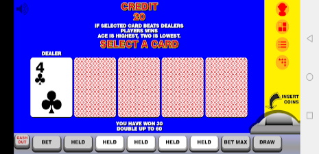 Video Poker with Double Up স্ক্রিনশট 0