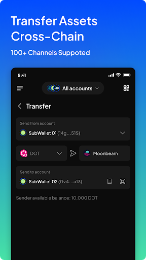 SubWallet Captura de tela 2