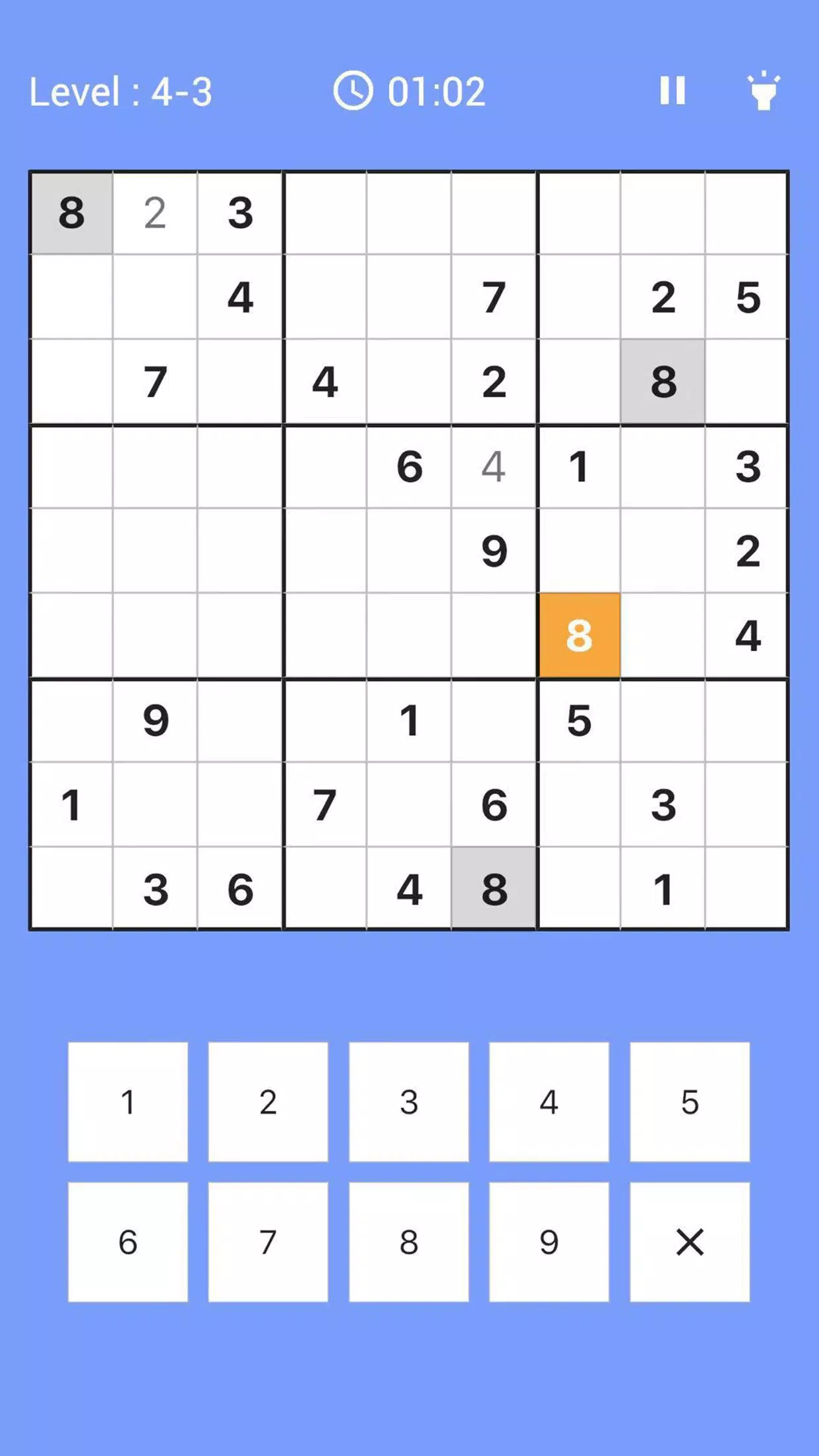 Schermata Crazy Sudoku 1