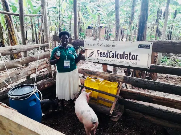 Feed Calculator for livestock Скриншот 1