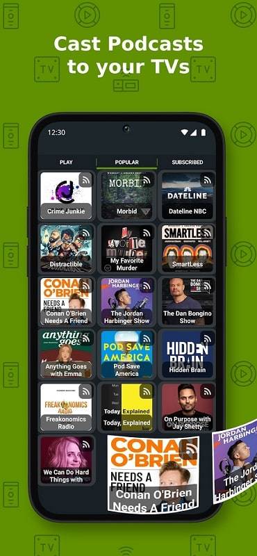 Cast to TV+ Chromecast Roku TV Скриншот 0