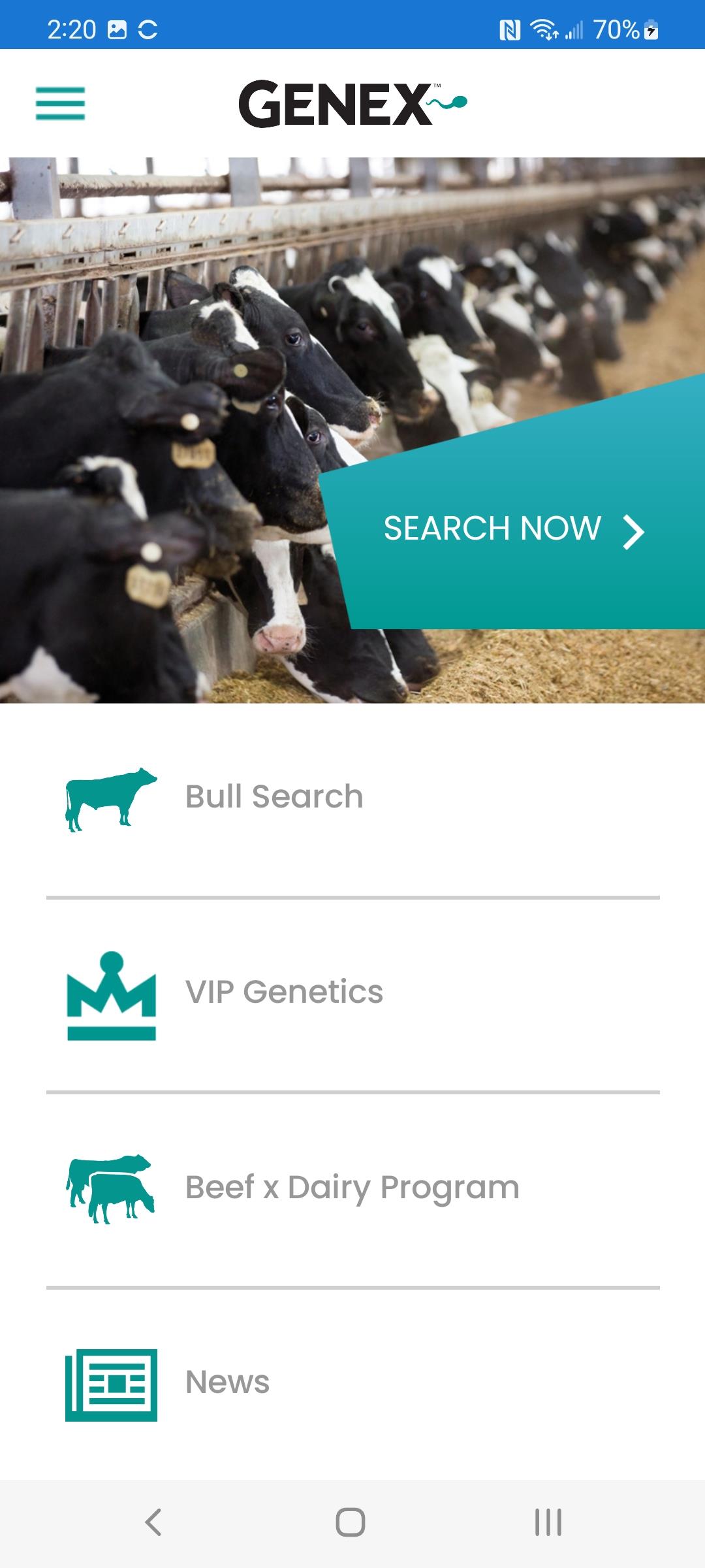 Bull Search ภาพหน้าจอ 0