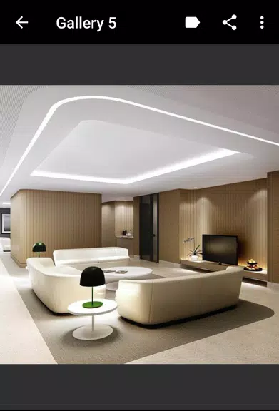 Ceiling Design स्क्रीनशॉट 2