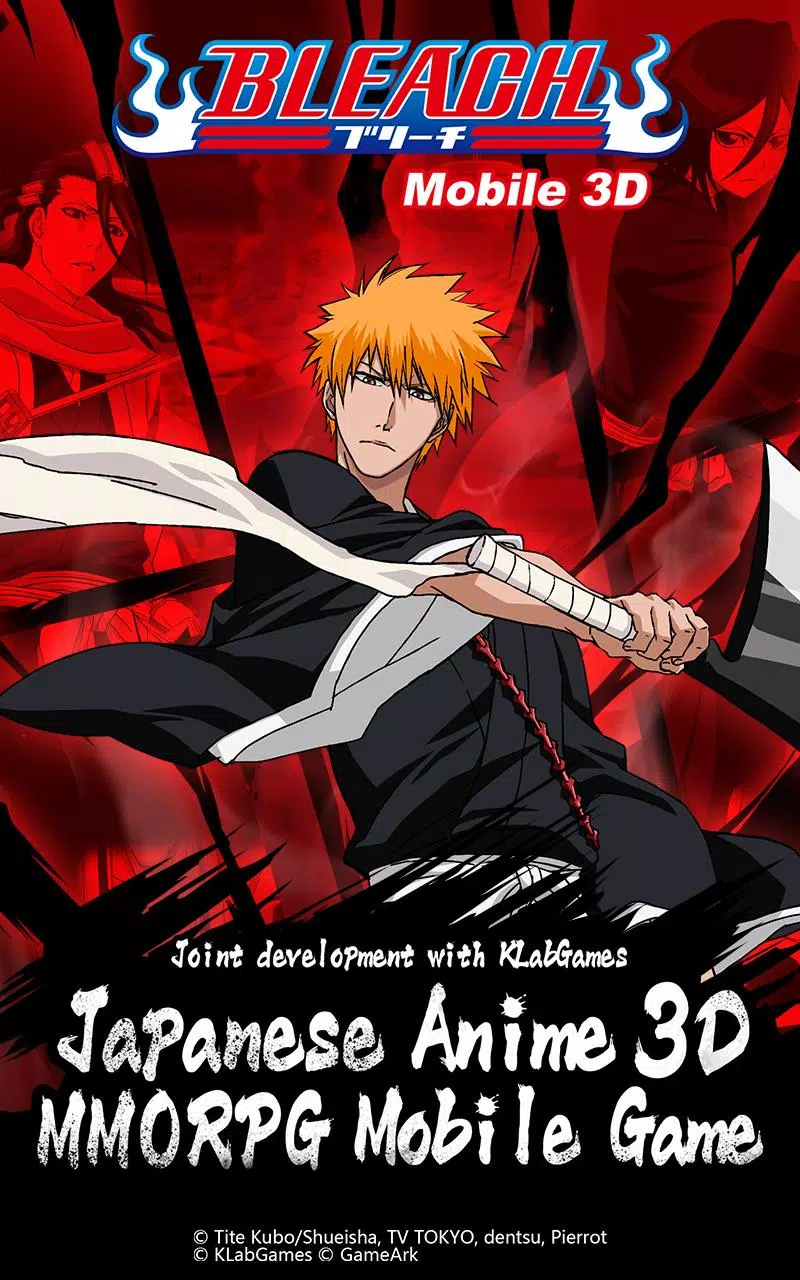 BLEACH Mobile 3D應用截圖第0張