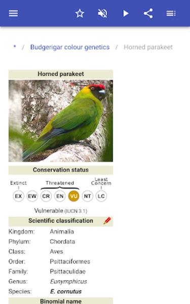 Parrots Schermafbeelding 2