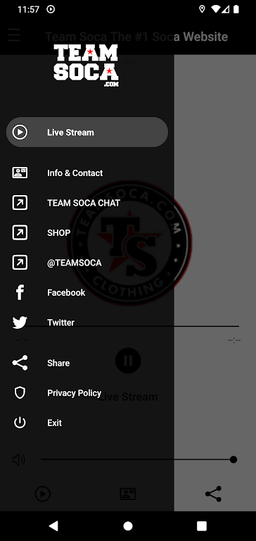 Team Soca Tangkapan skrin 2