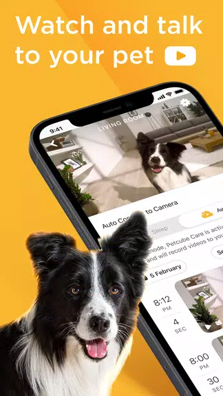 Petcube應用截圖第0張