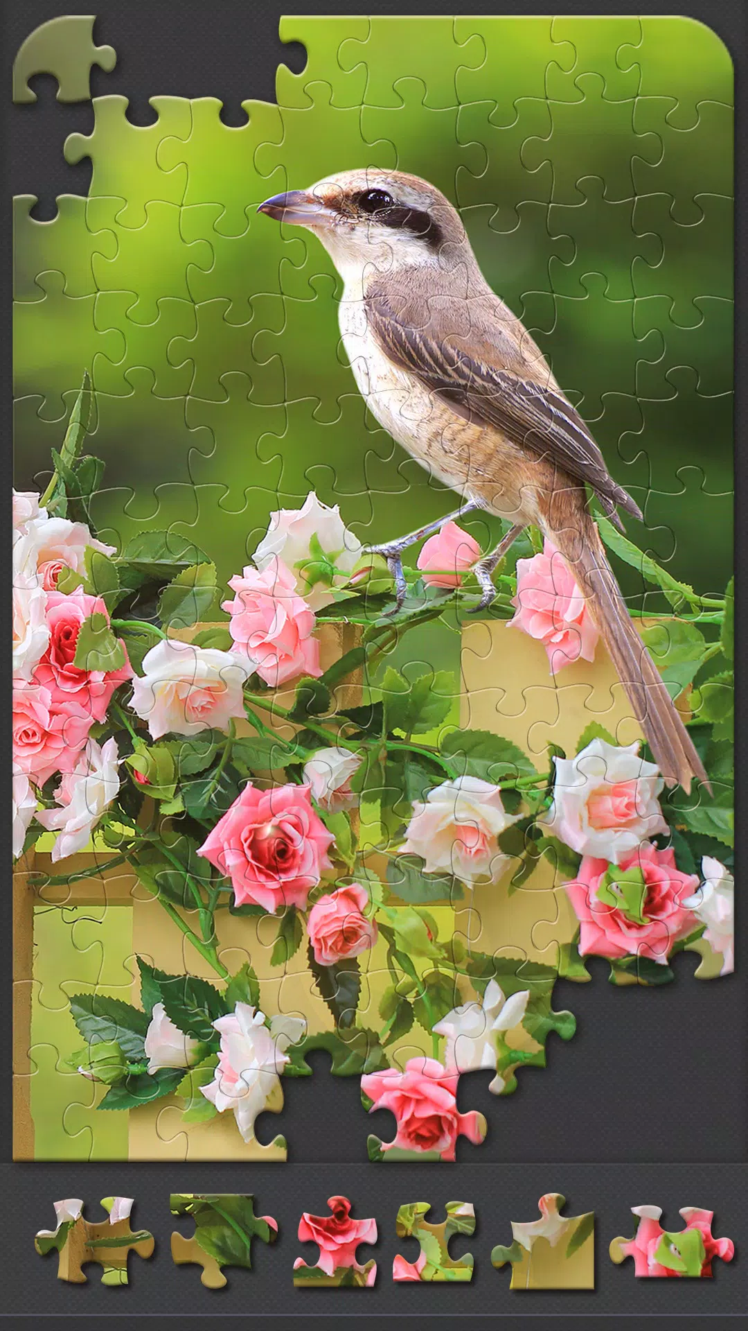 Jigsaw Puzzles for Adults Screenshot 2